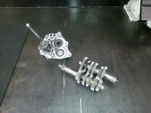 TZ250 gears