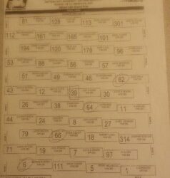 Daytona, on the front row!